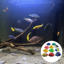 25 Pcs Plastic Aquarium Fish
