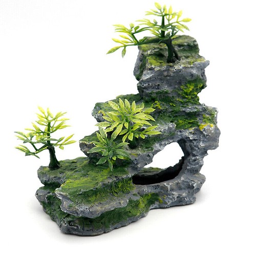 Aquarium mountain view - mountain,