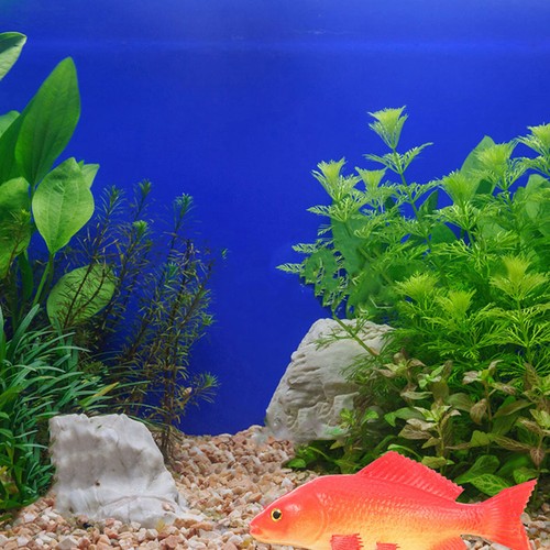 Pcs fake fish tank realistic - fake,