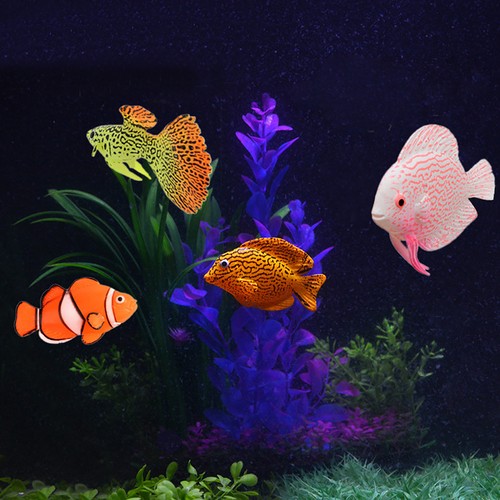 Aquarium fish tank luminous - fish,