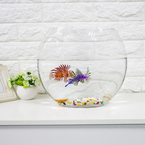 Simulation fish tank - simulation,
