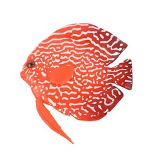 Plastic Artificial Swimming