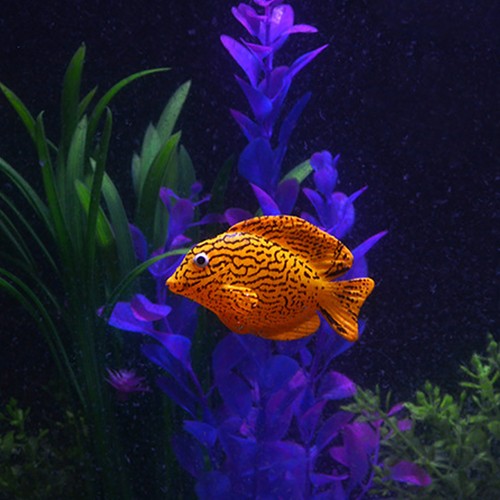Aquarium fish tank - 4x, luminous