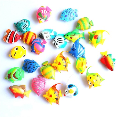 Tropical fish tank - fish,